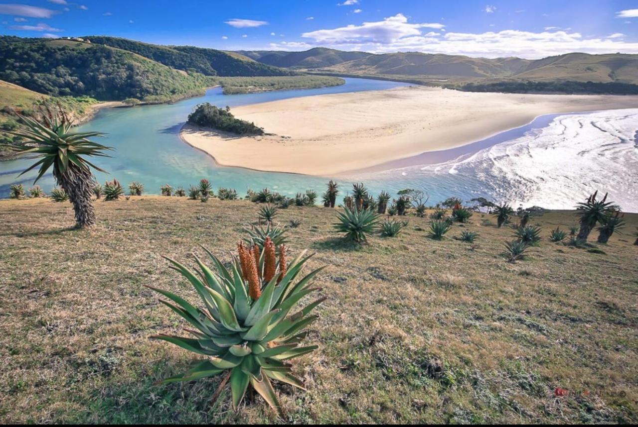 Raptors View Coffee Bay Dış mekan fotoğraf