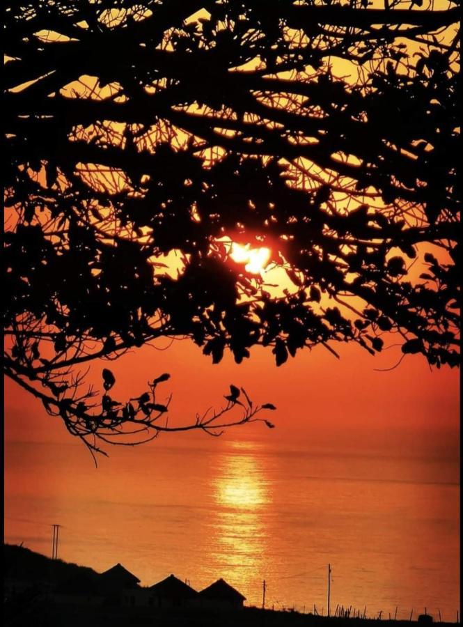 Raptors View Coffee Bay Dış mekan fotoğraf